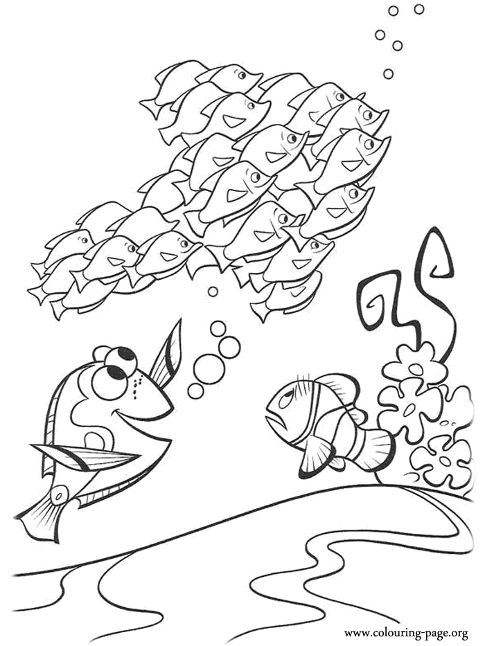 Dori, Marlin looking a school of grouper fishes coloring page