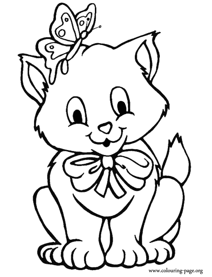 Cats and Kittens - The kitten with a butterfly on his head coloring page