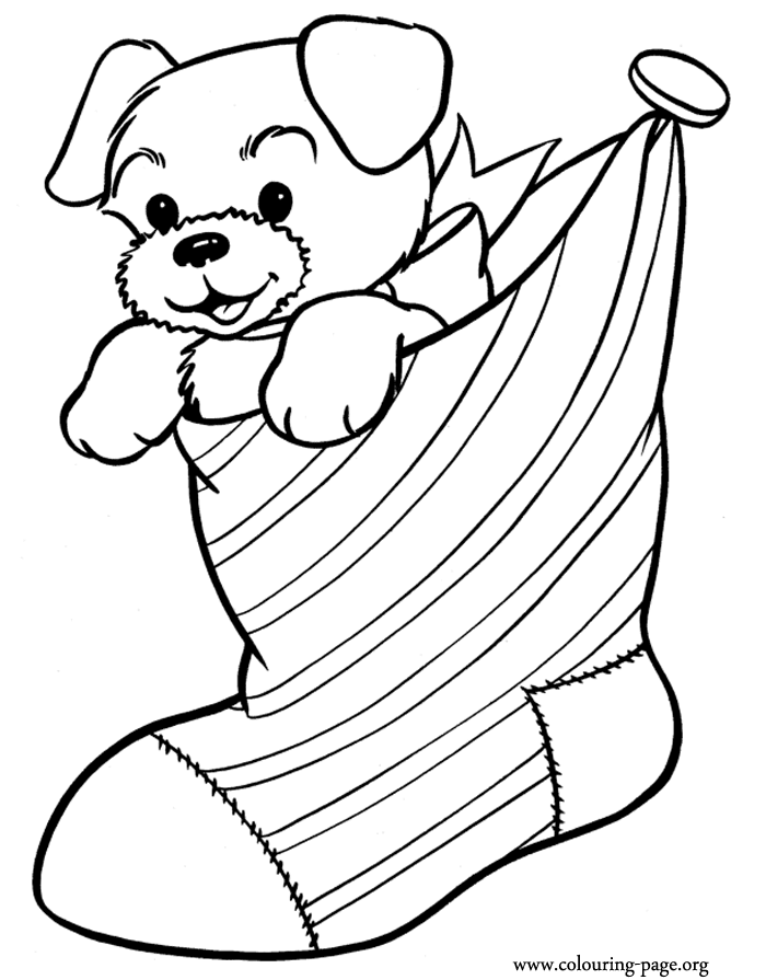 Christmas Puppy inside a Christmas stocking coloring page