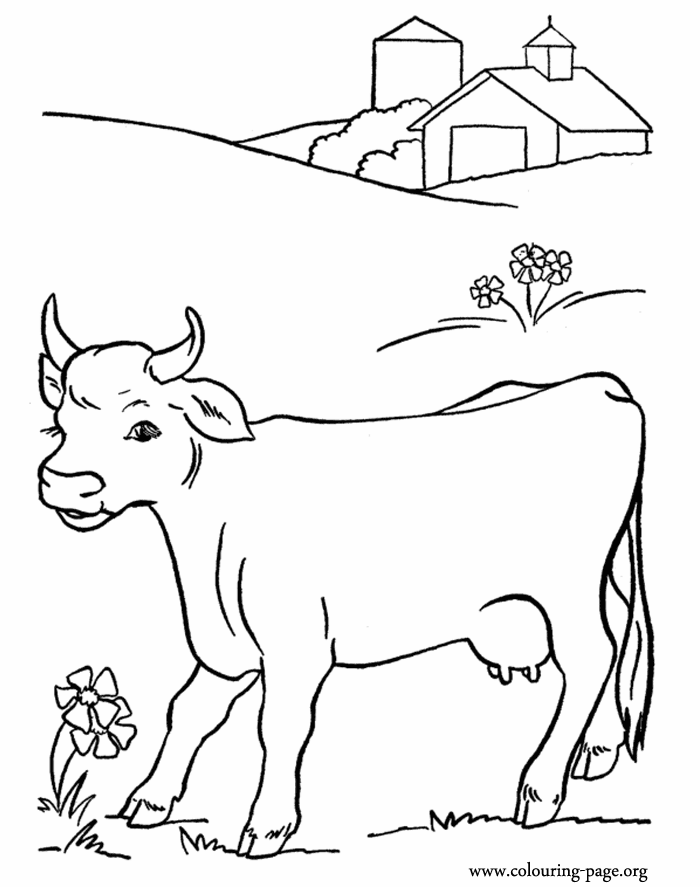 baby cow coloring pages - photo #16