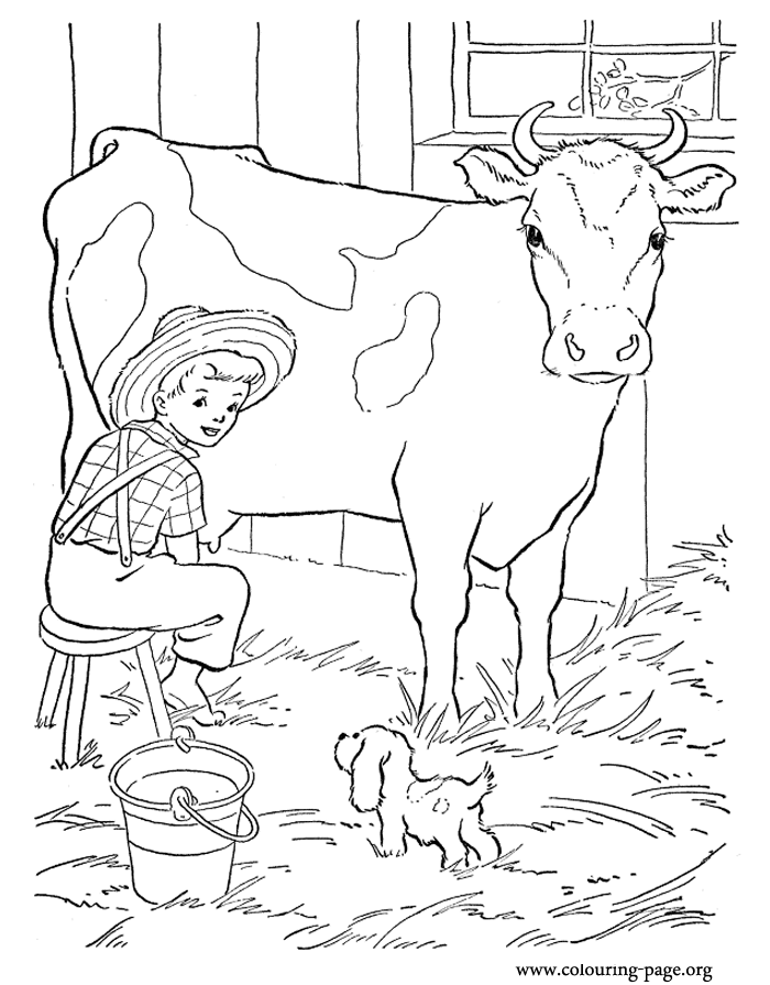 dairy cow coloring pages - photo #14