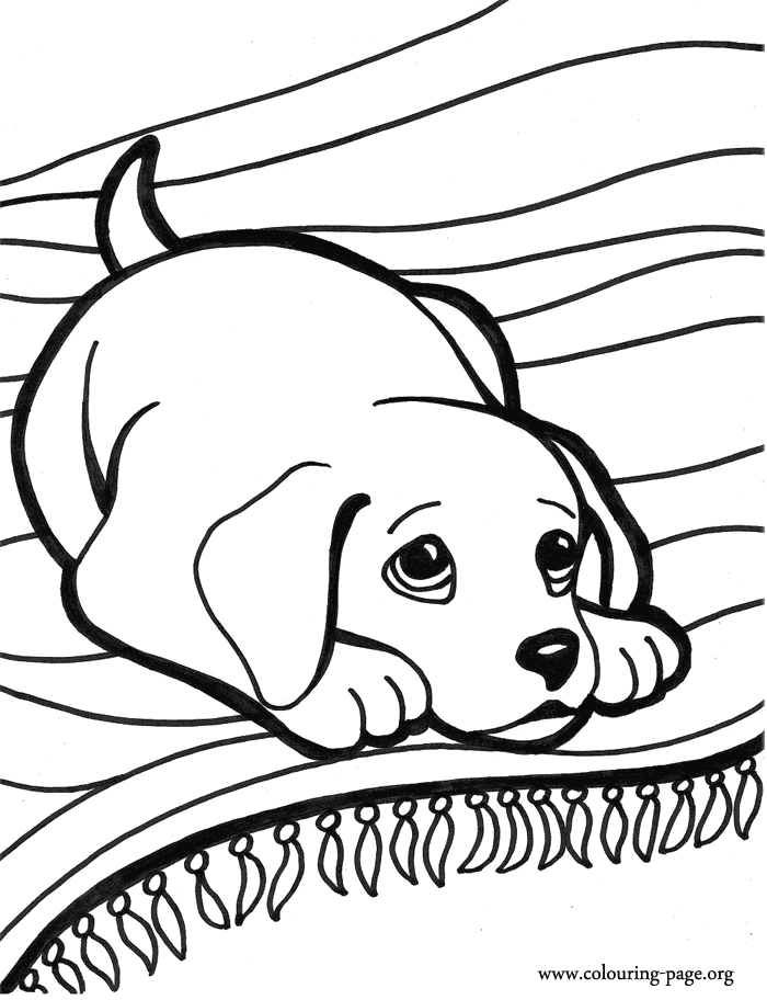 Dogs and Puppies A little dog on the carpet coloring page