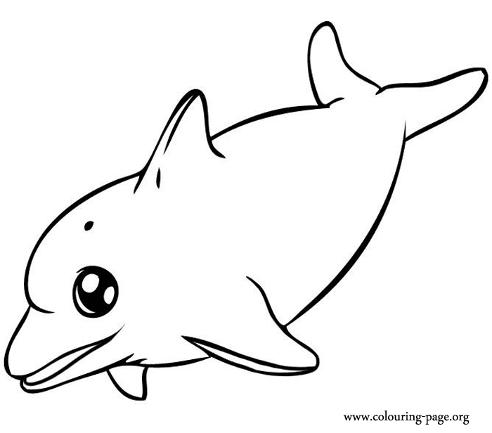 cute dolphin Colouring Pages