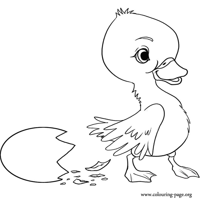 Duck and Duckling - Duckling and his broken egg coloring page