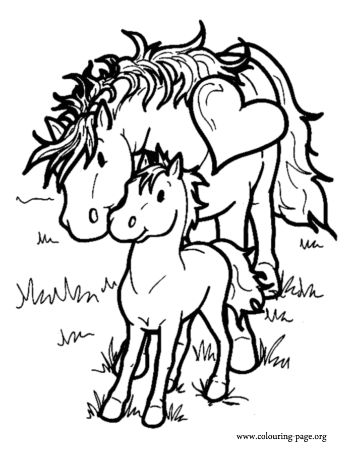 baby horses coloring pages - photo #25