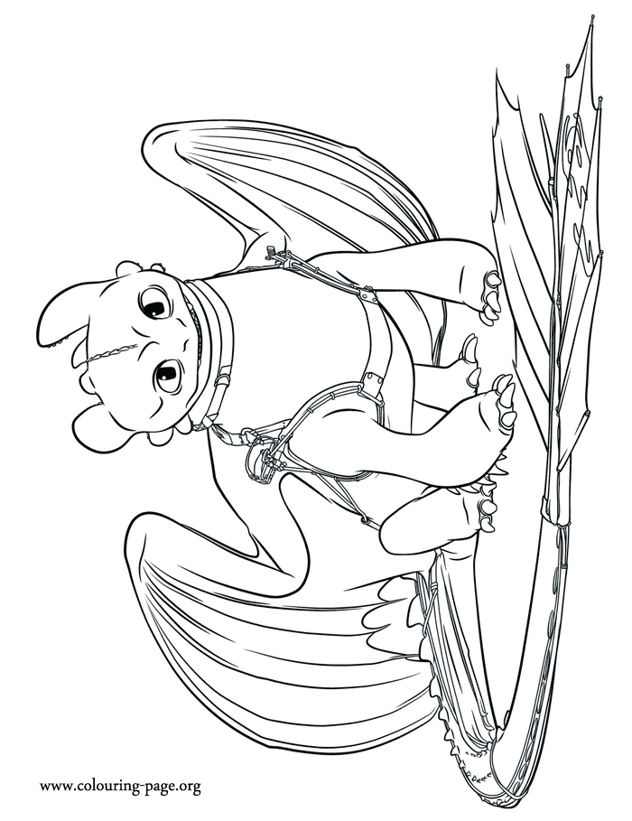 Older Toothless coloring page