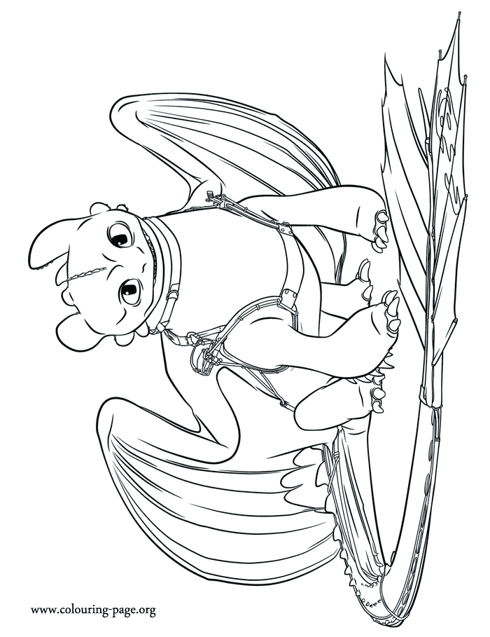 How To Train Your Dragon 2 Older Toothless Coloring Page