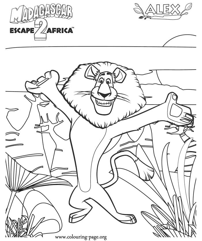 Madagascar Colouring