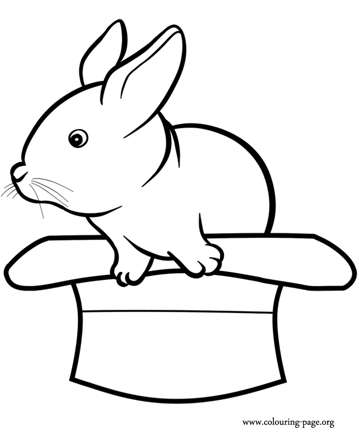 rabbits and bunnies coloring page 01