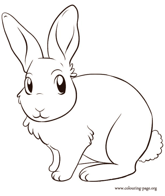 Rabbits and Bunnies - A cute bunny coloring page