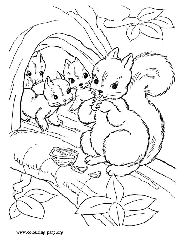 coloring squirrel mommy colouring printable
