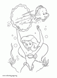 Flounder and Ariel playing together coloring page