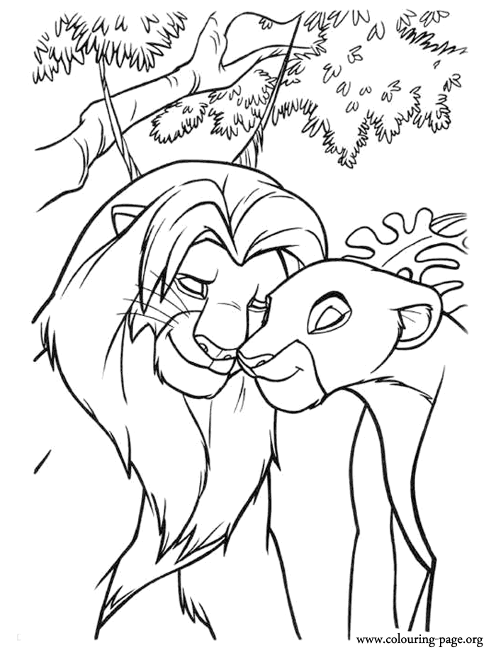 Simba and Nala meet again coloring page