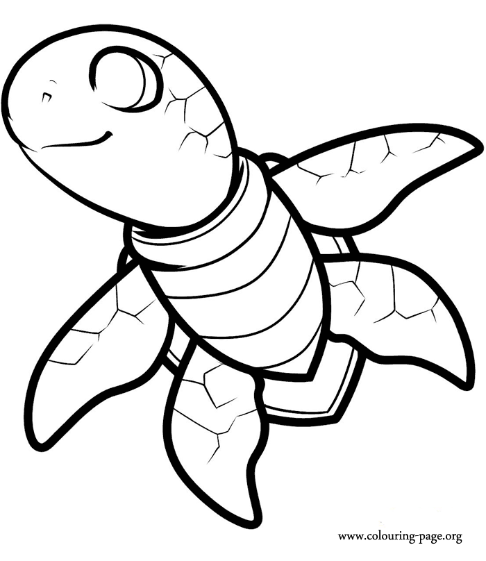 Turtles - Sea turtle swimming coloring page