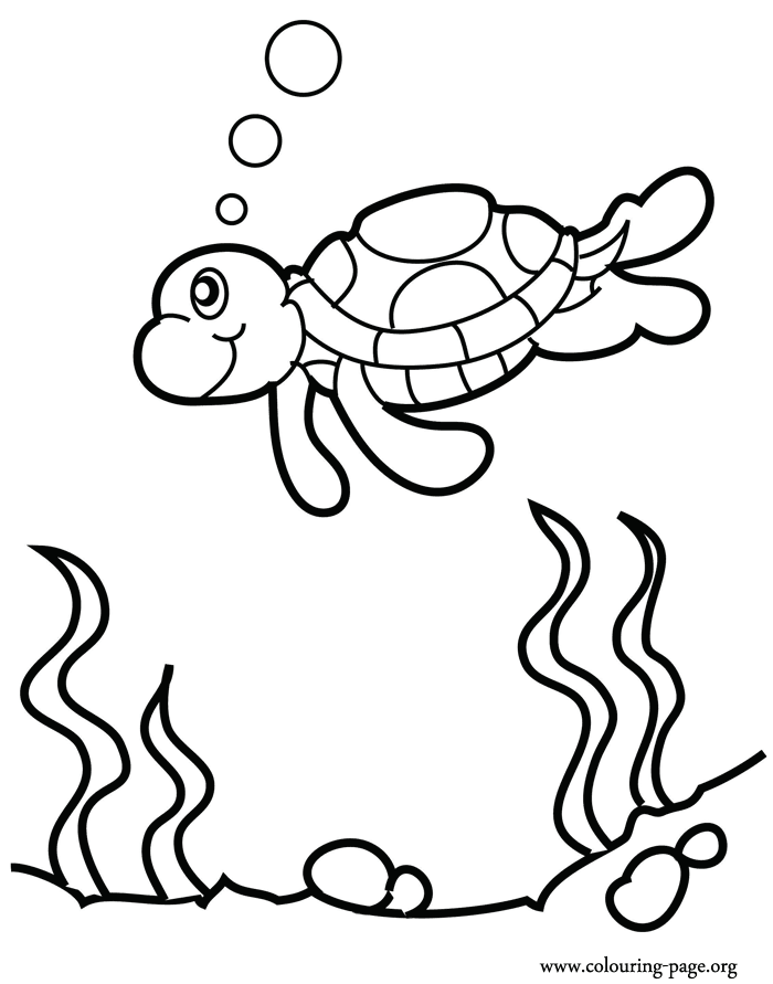 Turtles - Sea turtle swimming over a reef coloring page