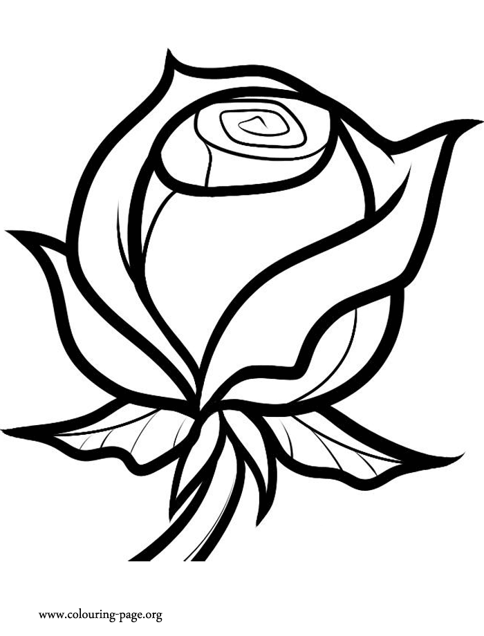 Valentine's Day - A Valentine Rose coloring page