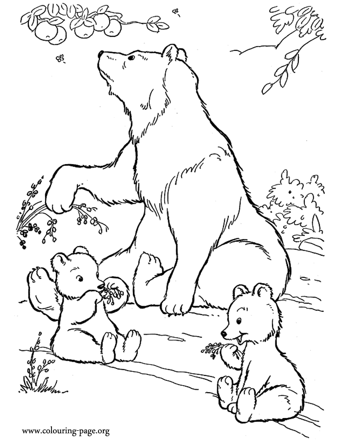 Mother bear and cubs eating fruits coloring page