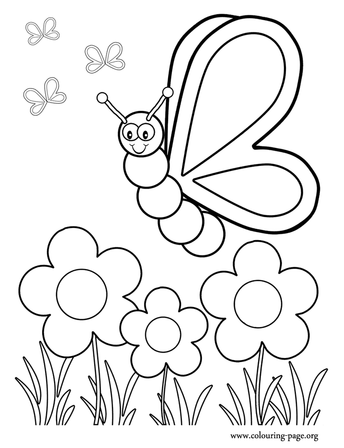 A beautiful butterfly watching the flowers coloring page