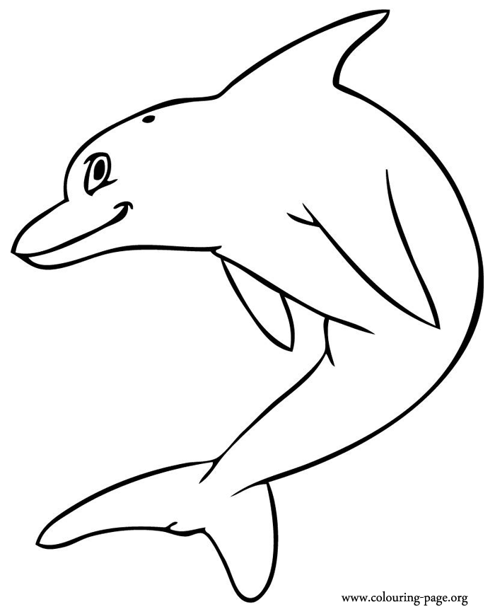 Friendly dolphin jumping coloring page