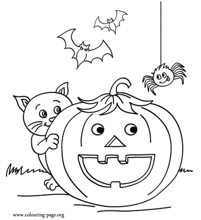 Cat, bats and spider with a halloween pumpkin coloring page