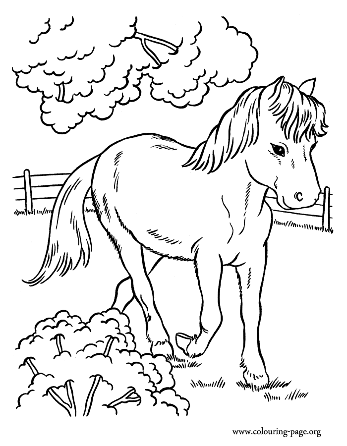 A cute horse running in the farm coloring page