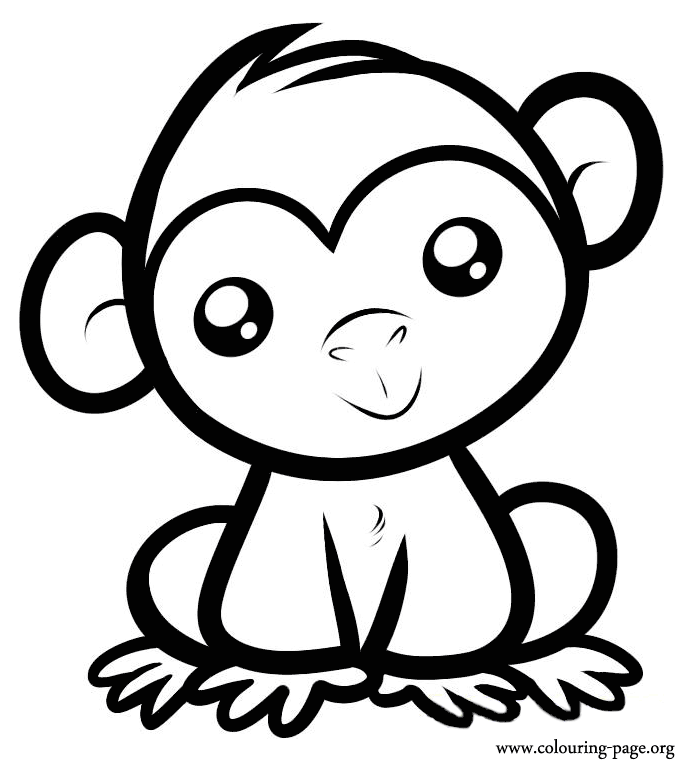 Gambar Monkeys Cute Baby Monkey Sitting Coloring Page Dora Pages di ...