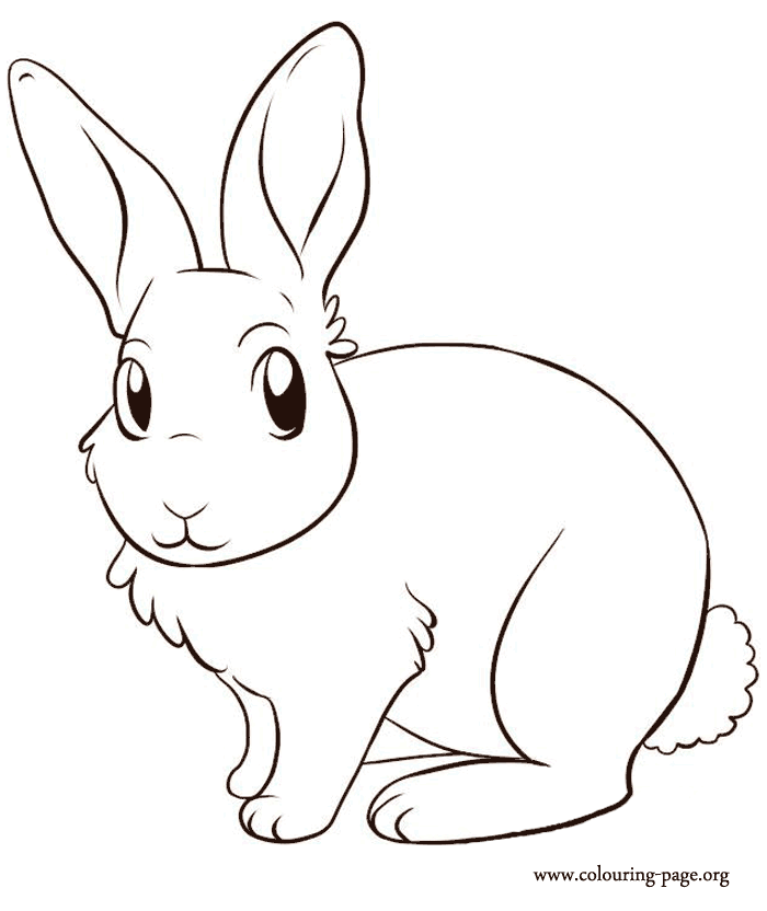 A cute bunny coloring page