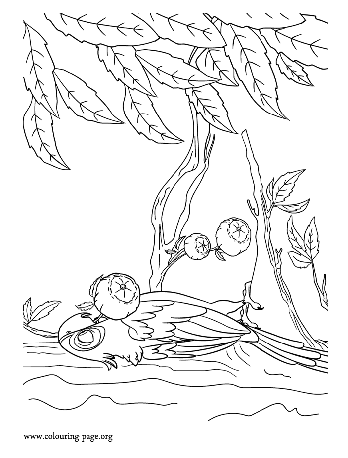 Blu in the Amazon forest coloring page