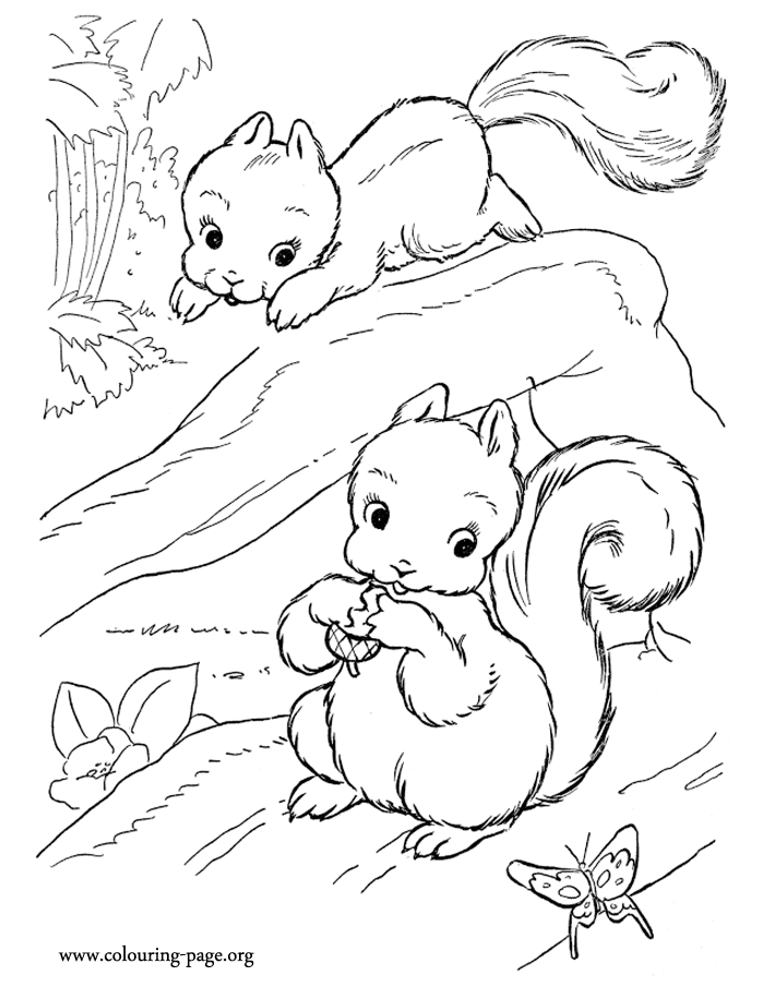 Two cute squirrels playing in the trees coloring page