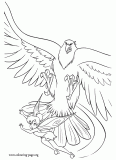 Tinker Bell being attacked by a Hawk coloring page