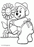Cute bear watering a flower coloring page