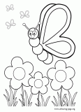 A beautiful butterfly watching the flowers  coloring page