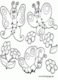 A bunch of cute butterflies coloring page