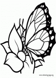 A delicate butterfly resting on a flower coloring page