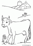A beautiful cow in the pasture coloring page