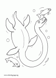 Elasmosaurus, a sea dinosaur coloring page