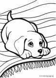 A little dog on the carpet coloring page