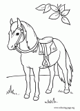 An elegant horse coloring page