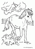 A cute horse running in the farm coloring page