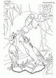 Blu, Jewel and Rafael coloring page