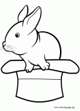 A rabbit in a hat coloring page