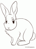 A cute bunny coloring page