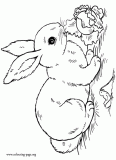 A rabbit eating salad coloring page