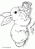 Rabbits and Bunnies Coloring Pages