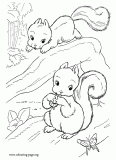 Two cute squirrels playing in the trees coloring page