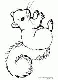 A beautiful squirrel coloring page