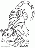 A wild tiger resting coloring page