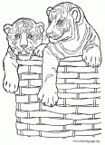 Two tiger cubs in a wicker basket coloring page