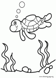 Sea turtle swimming over a reef coloring page