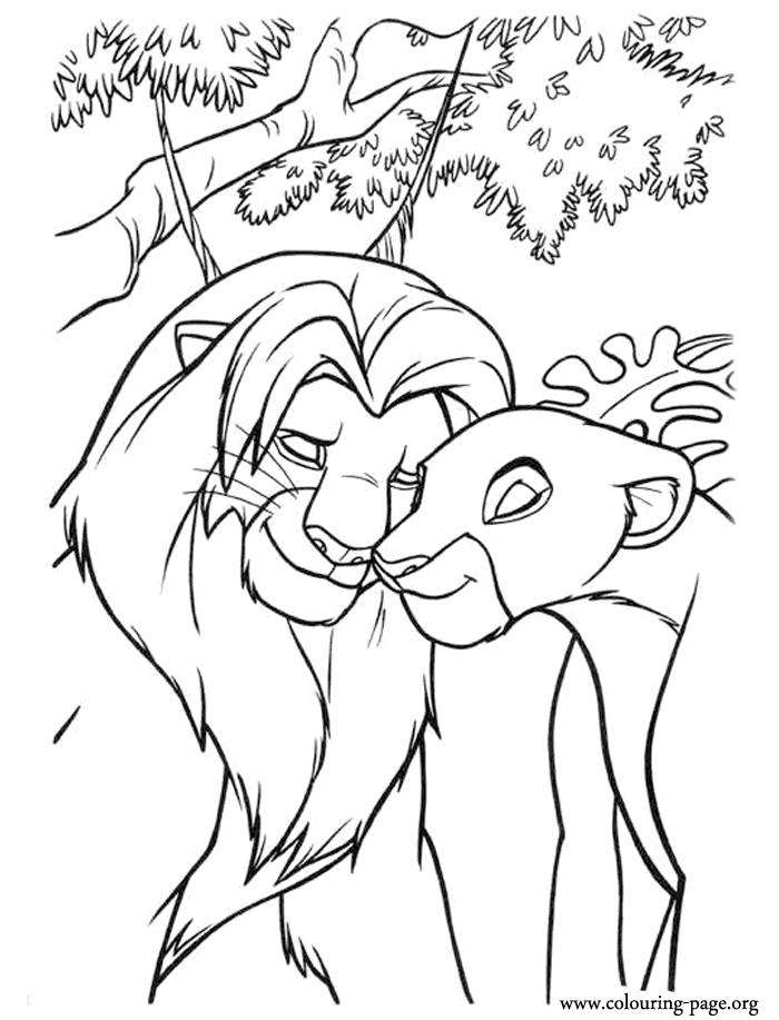 The Lion King Simba And Nala Meet Again Coloring Page